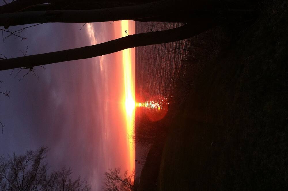 Photo of Others in Fancher