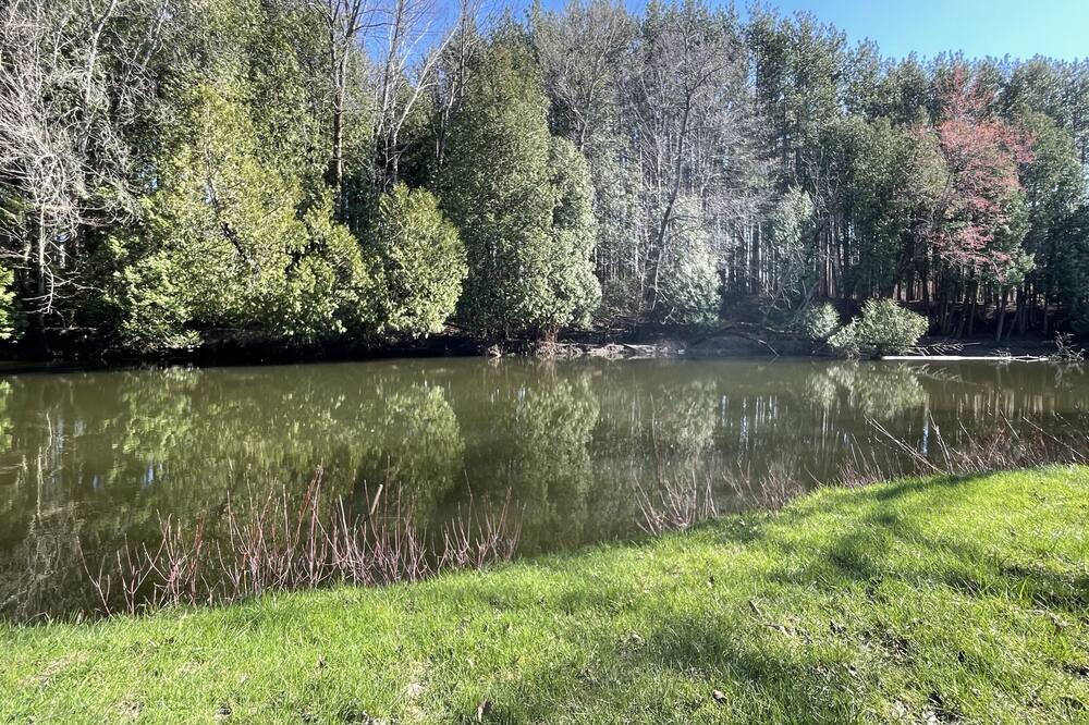 Photo of Outdoor in Sauble Beach