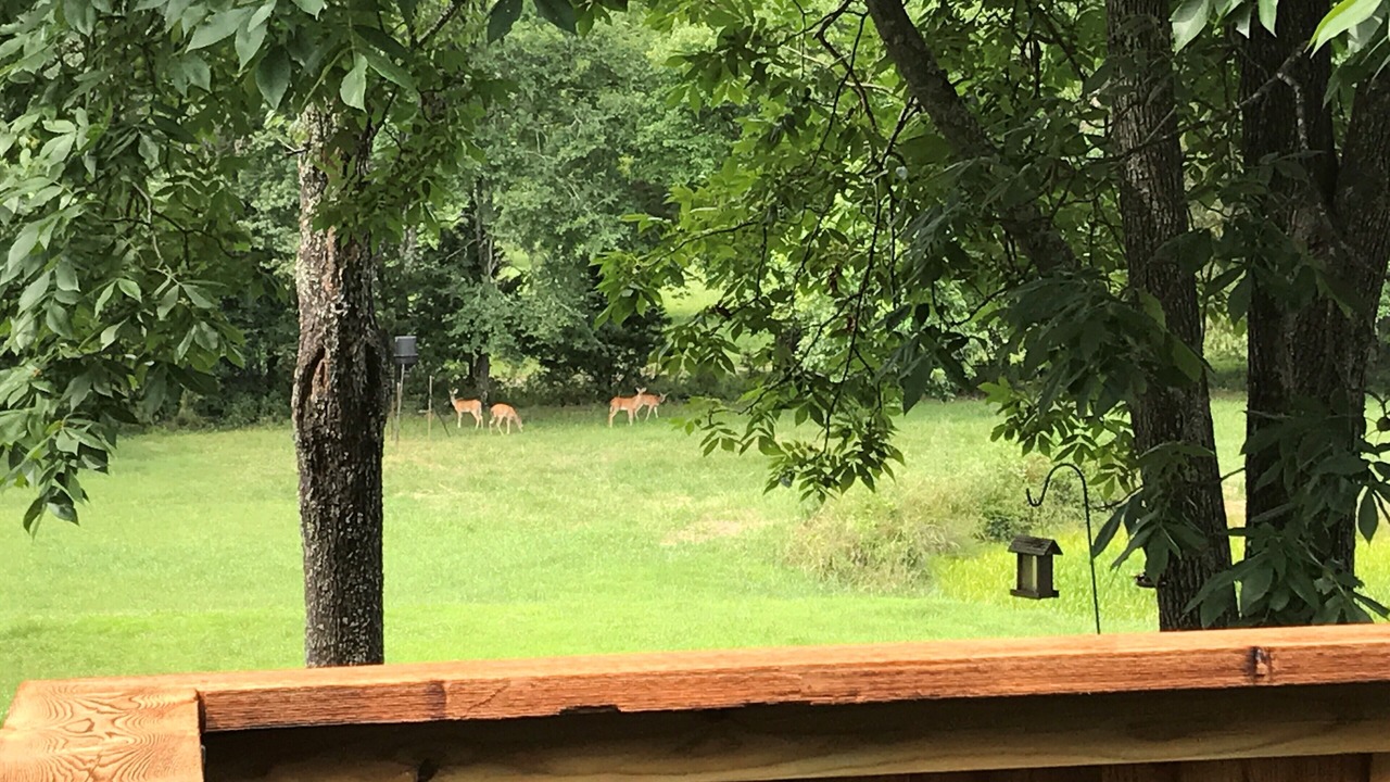 Photo of Outdoor in Board Camp
