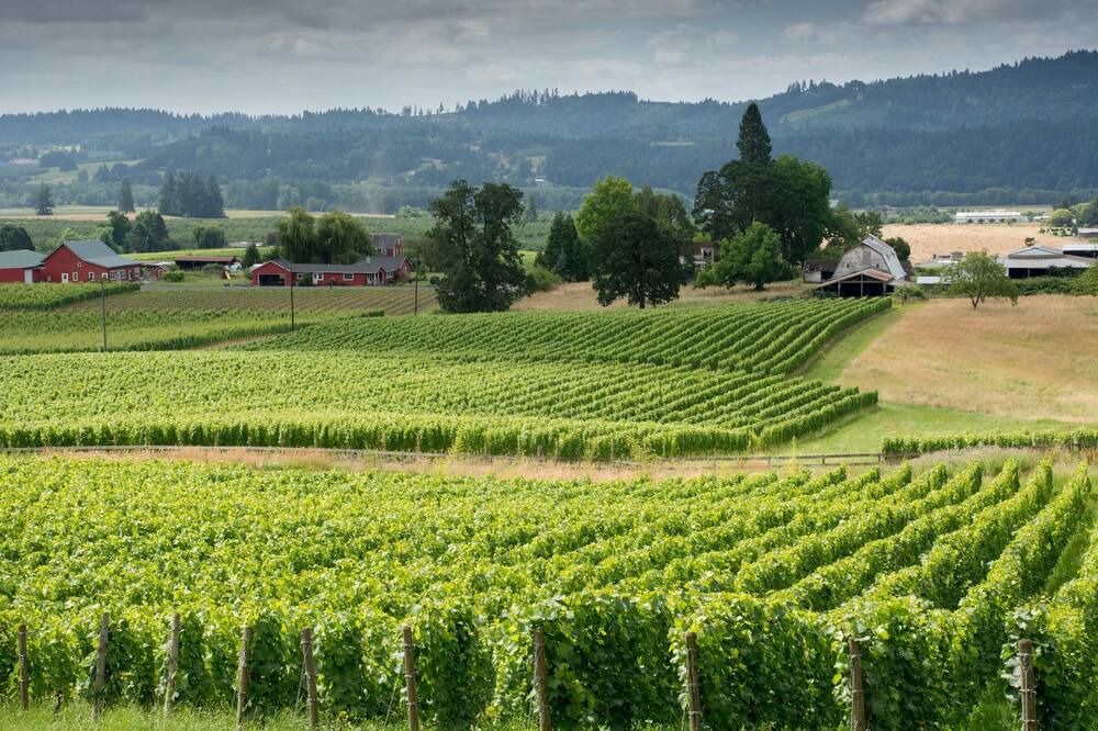 Photo of Outdoor in Walla Walla