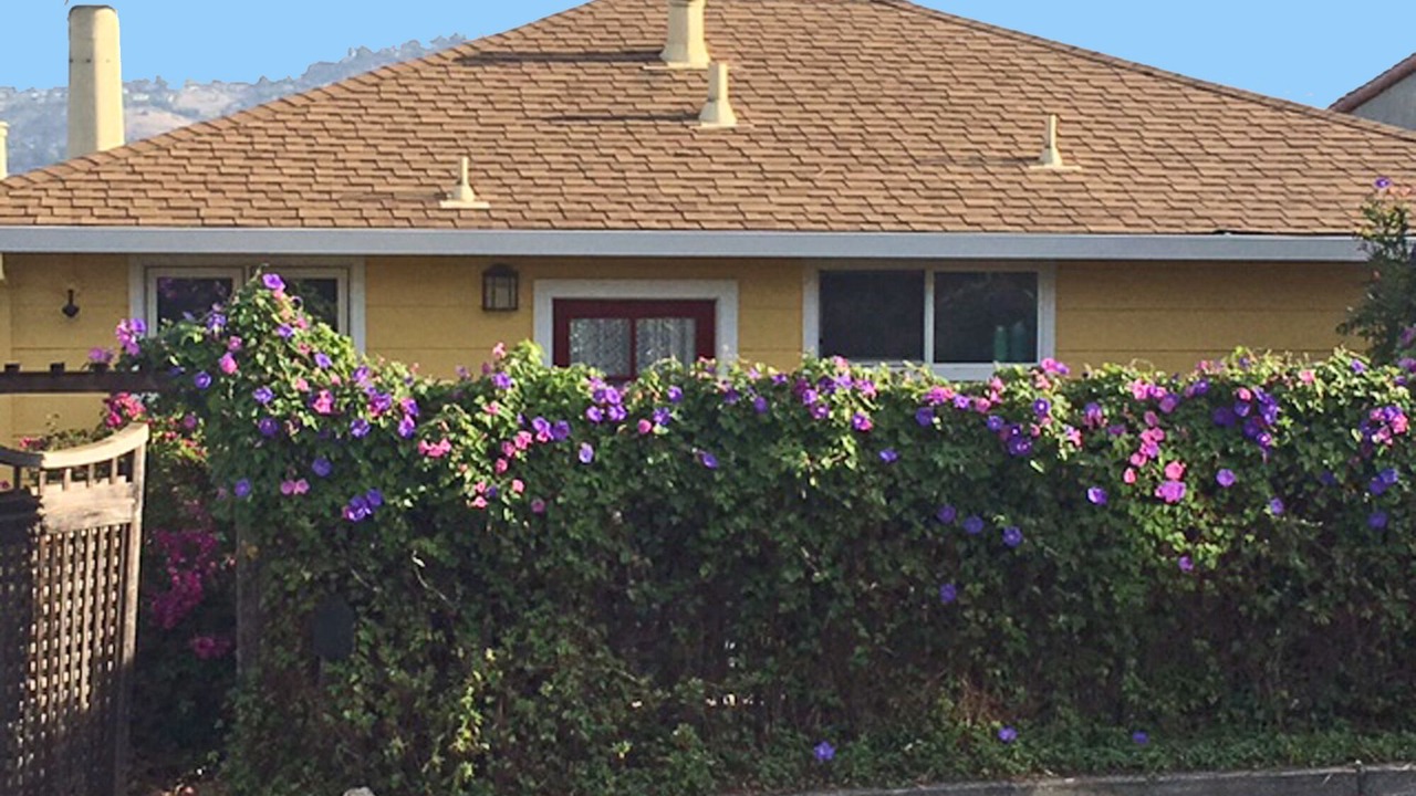 Photo of Outdoor in Sausalito