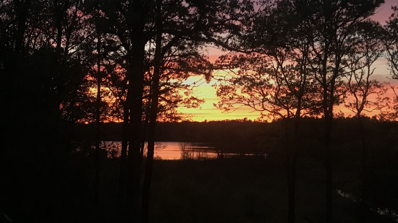 Photo of Others in Cotuit