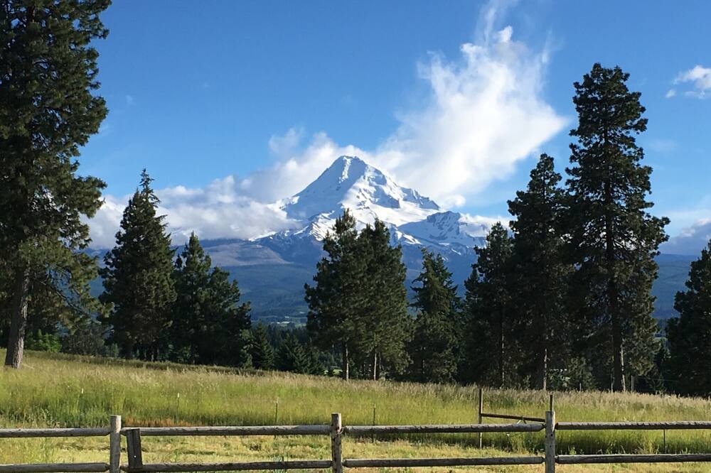 Photo of Outdoor in Parkdale