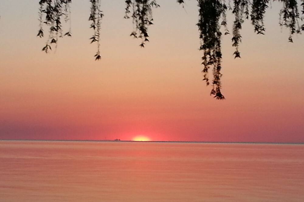 Photo of Others in Olcott