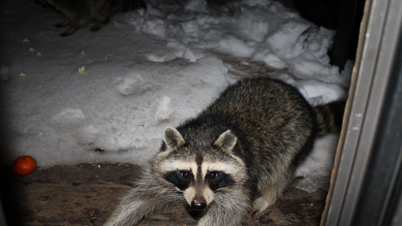 Photo of Others in Powder Ridge Village