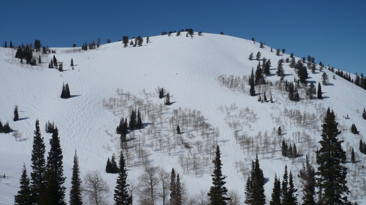 Photo of Others in Powder Ridge Village