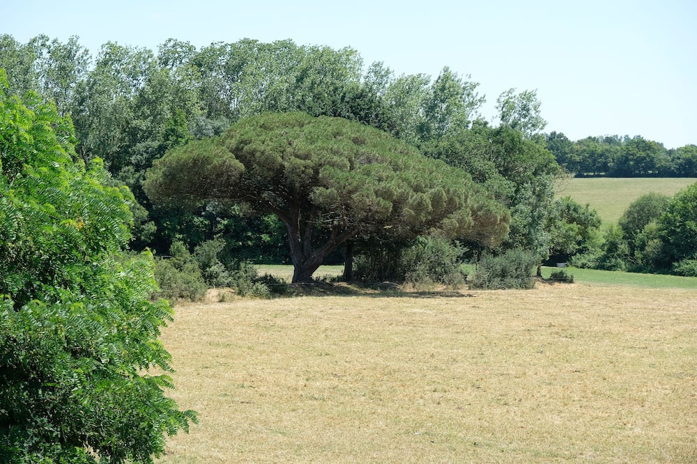 Photo of Outdoor in Grosbreuil