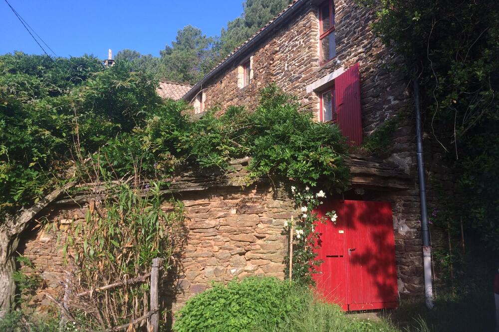 Photo of Outdoor in Beaumont