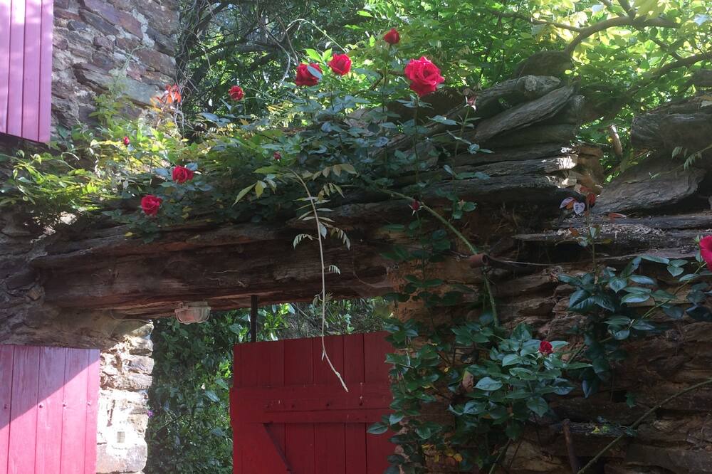 Photo of Outdoor in Beaumont