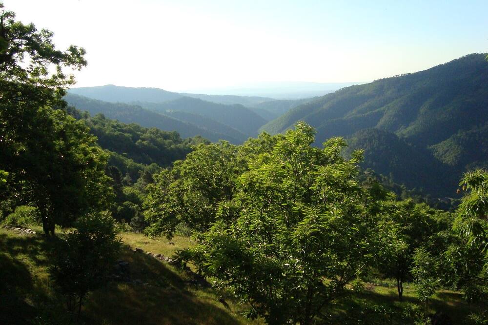 Photo of Outdoor in Beaumont