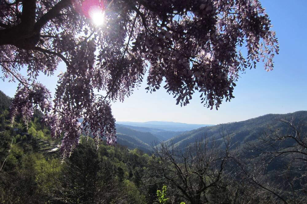 Photo of Outdoor in Beaumont