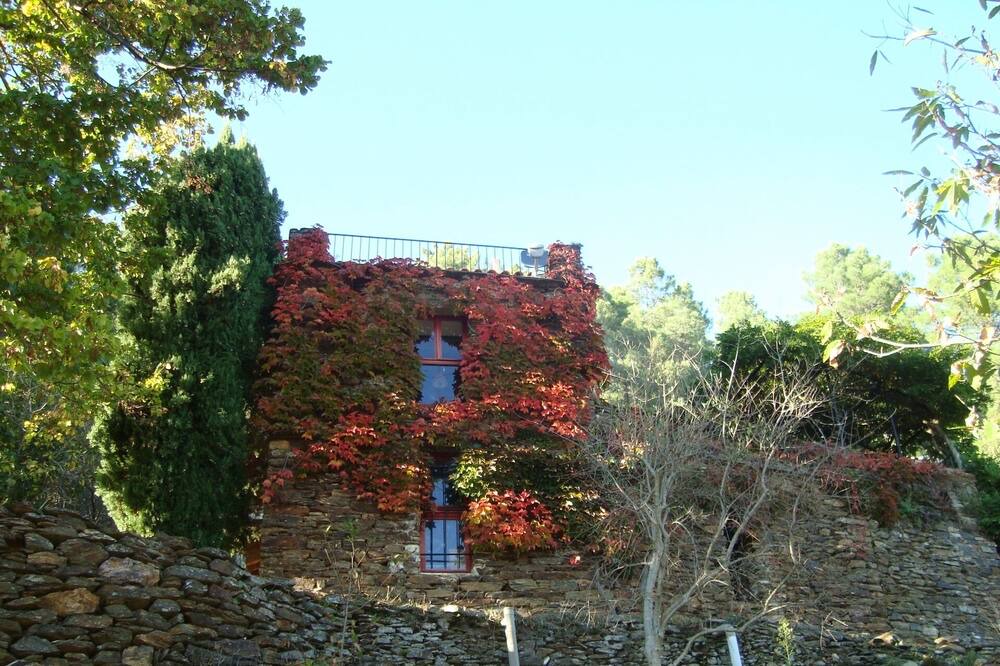 Photo of Outdoor in Beaumont