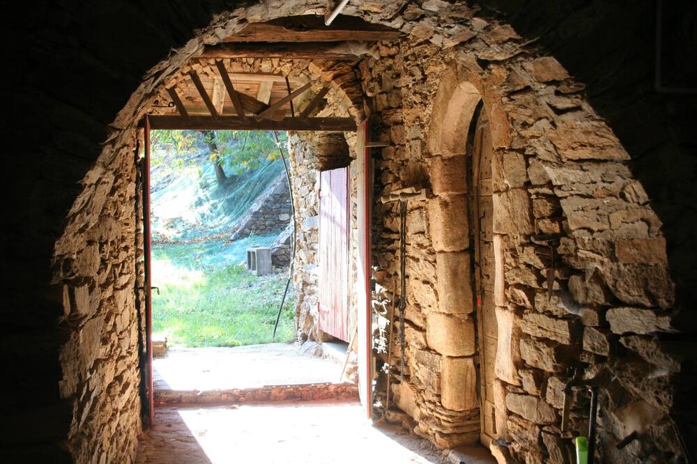 Photo of Others in Beaumont