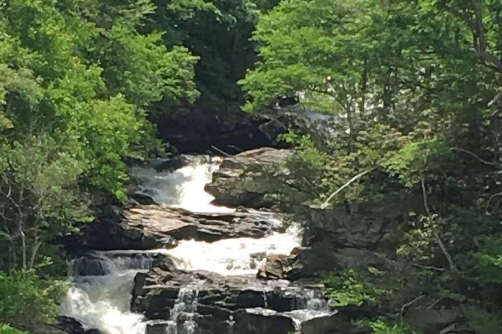 Photo of Outdoor in Dillard