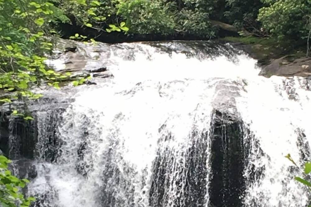 Photo of Others in Dillard