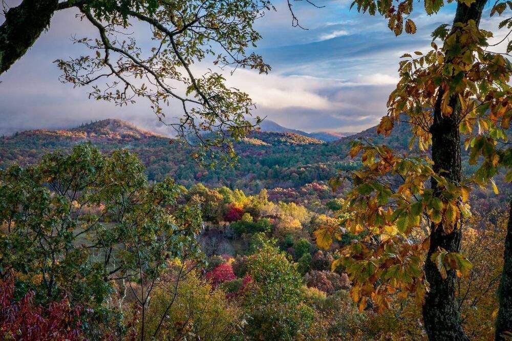 Photo of Outdoor in Dillard