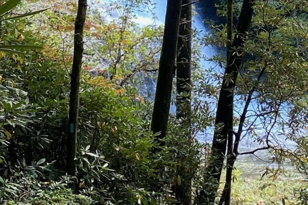 Photo of Outdoor in Dillard