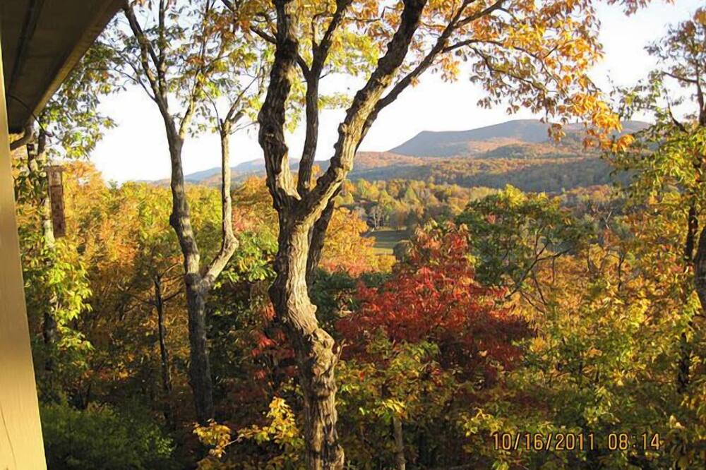 Photo of Outdoor in Dillard