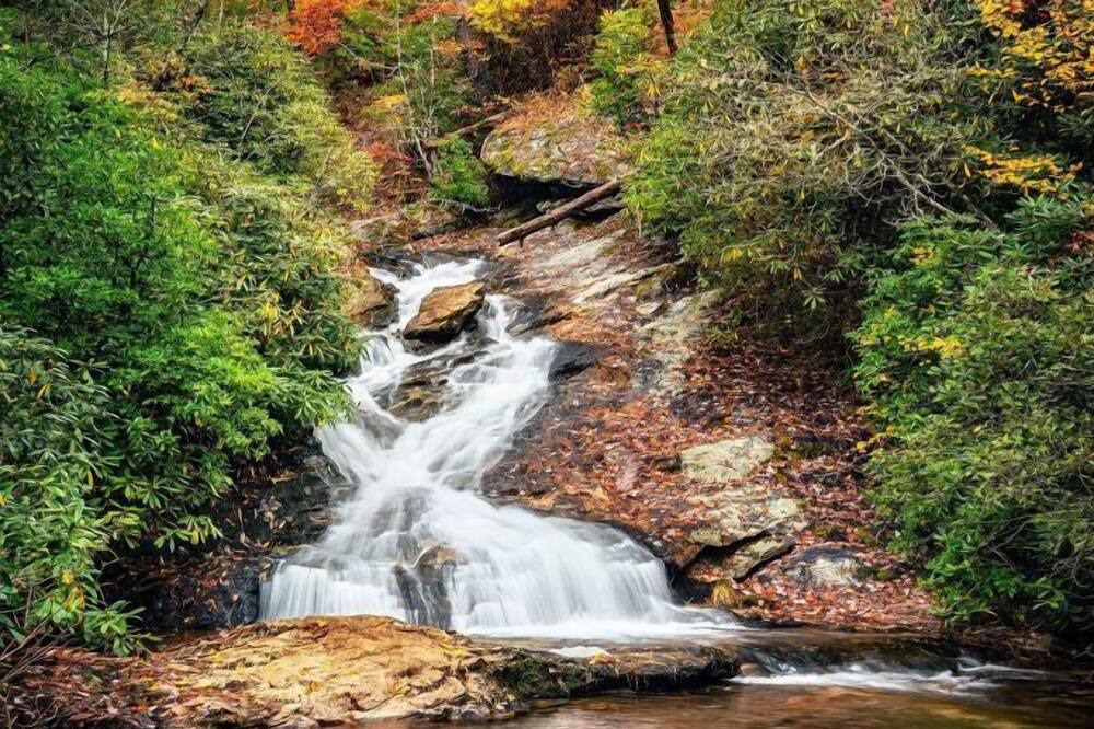 Photo of Outdoor in Dillard