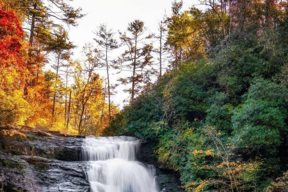 Photo of Outdoor in Dillard