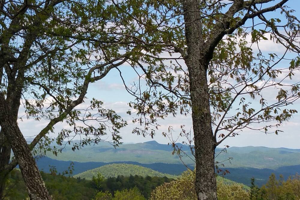 Photo of Others in Dillard