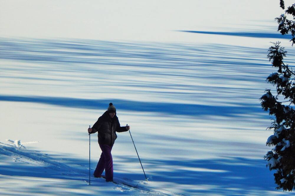 Photo of Others in Morgan