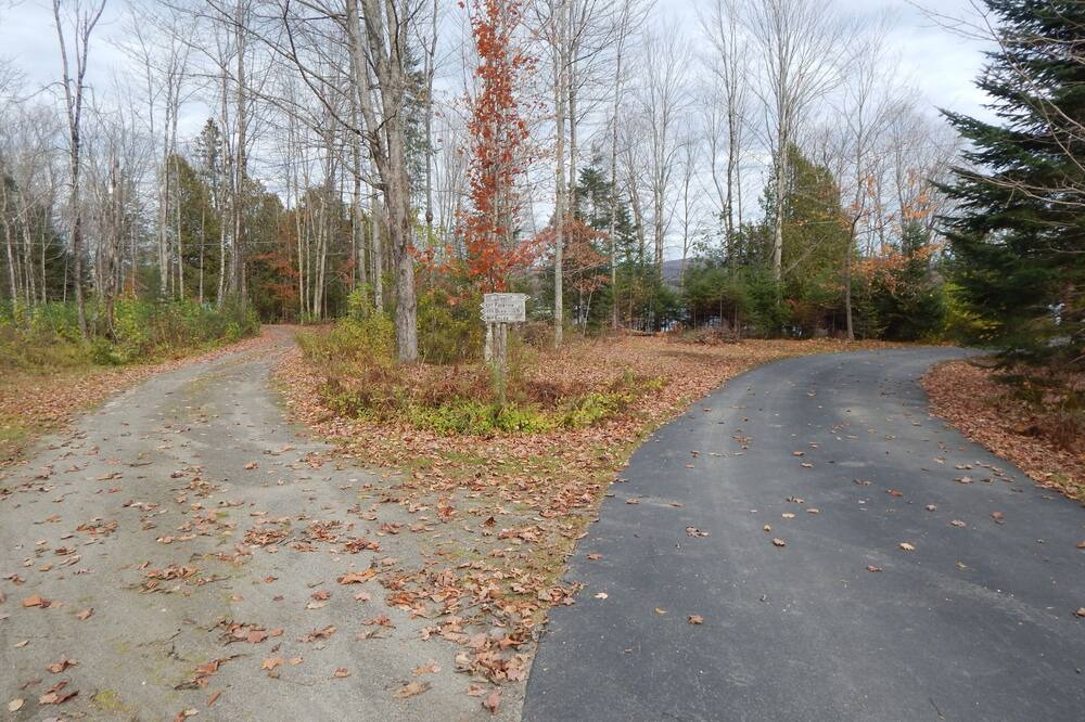 Photo of Others in Morgan