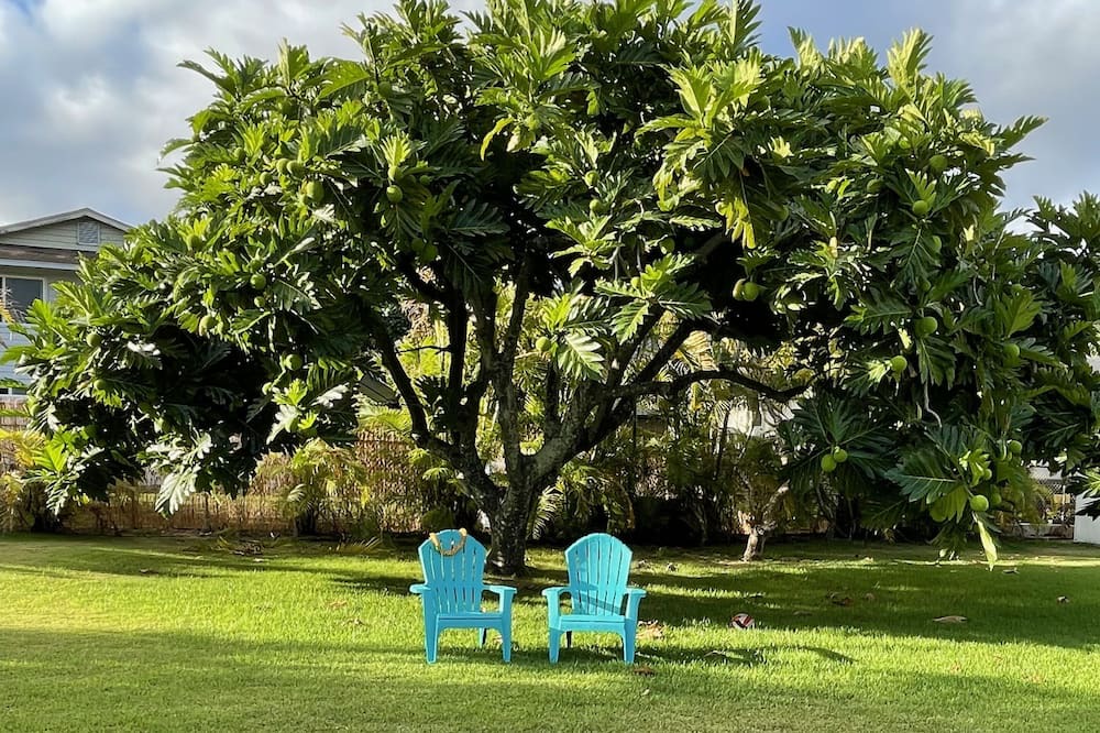 Photo of Outdoor in Waimanalo Beach