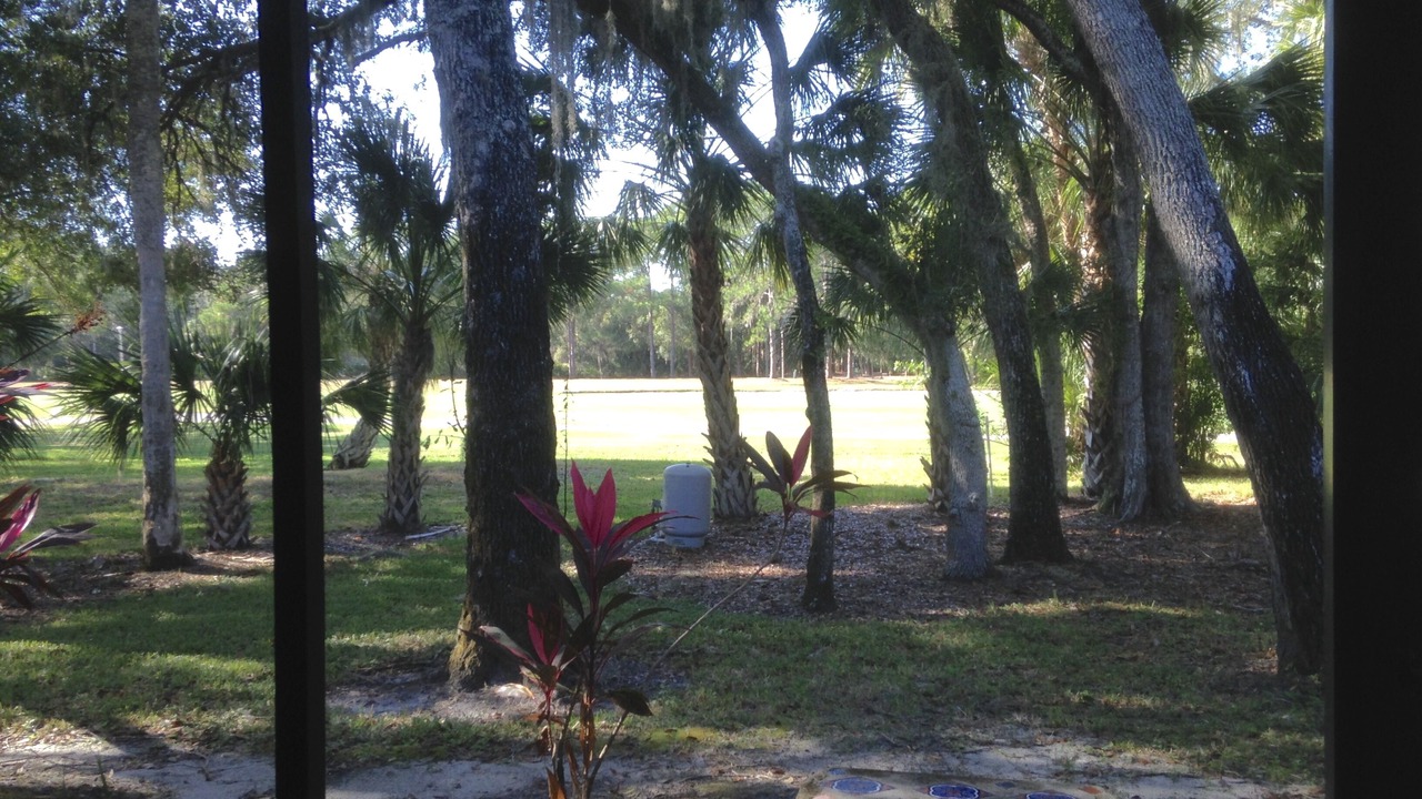 Photo of Outdoor in The Meadows