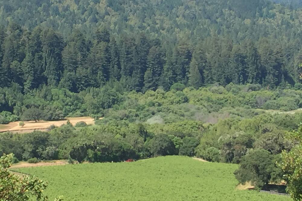 Photo of Others in Anderson Valley