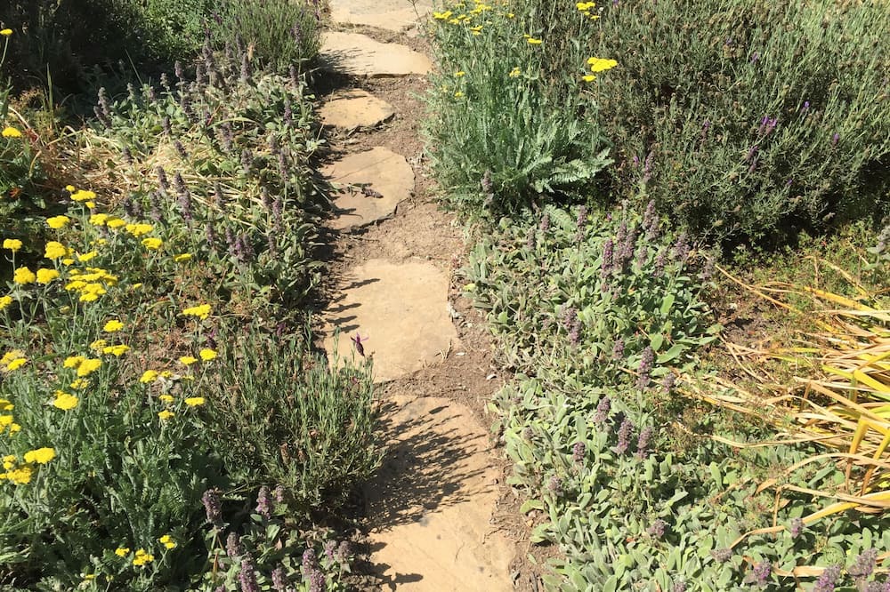Photo of Outdoor in Anderson Valley
