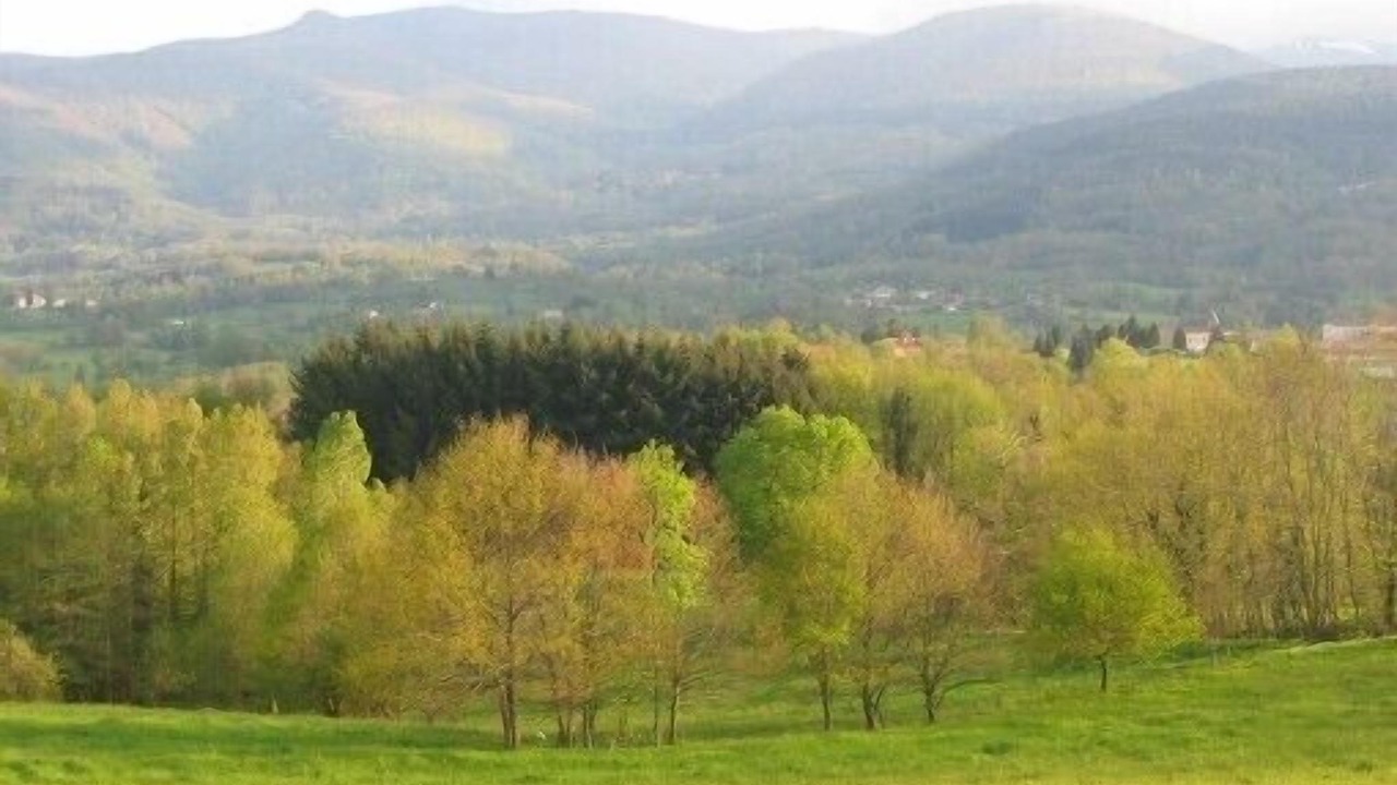Photo of Outdoor in Montoulieu