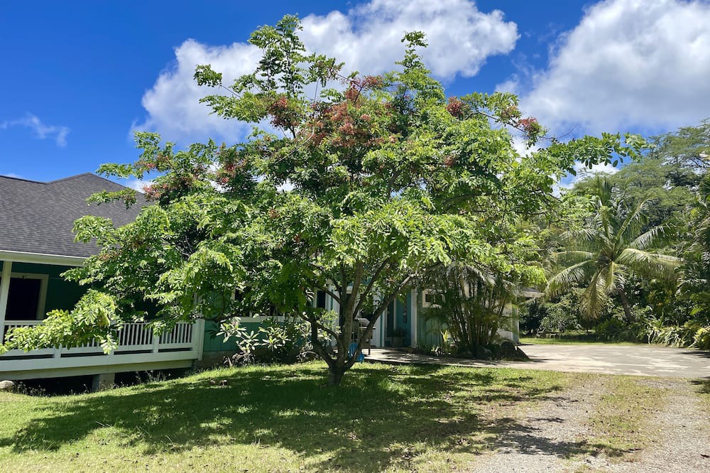 Photo of Outdoor in Pupukea