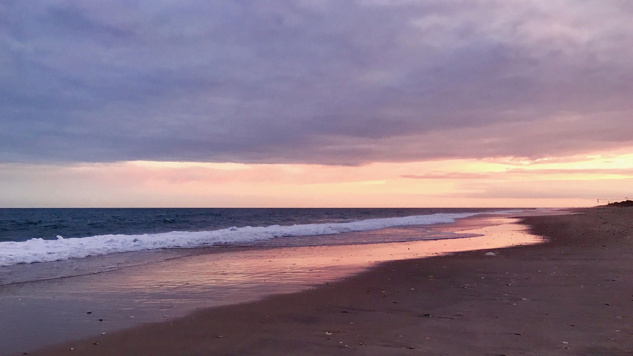 Photo of Others in Fire Island Pines