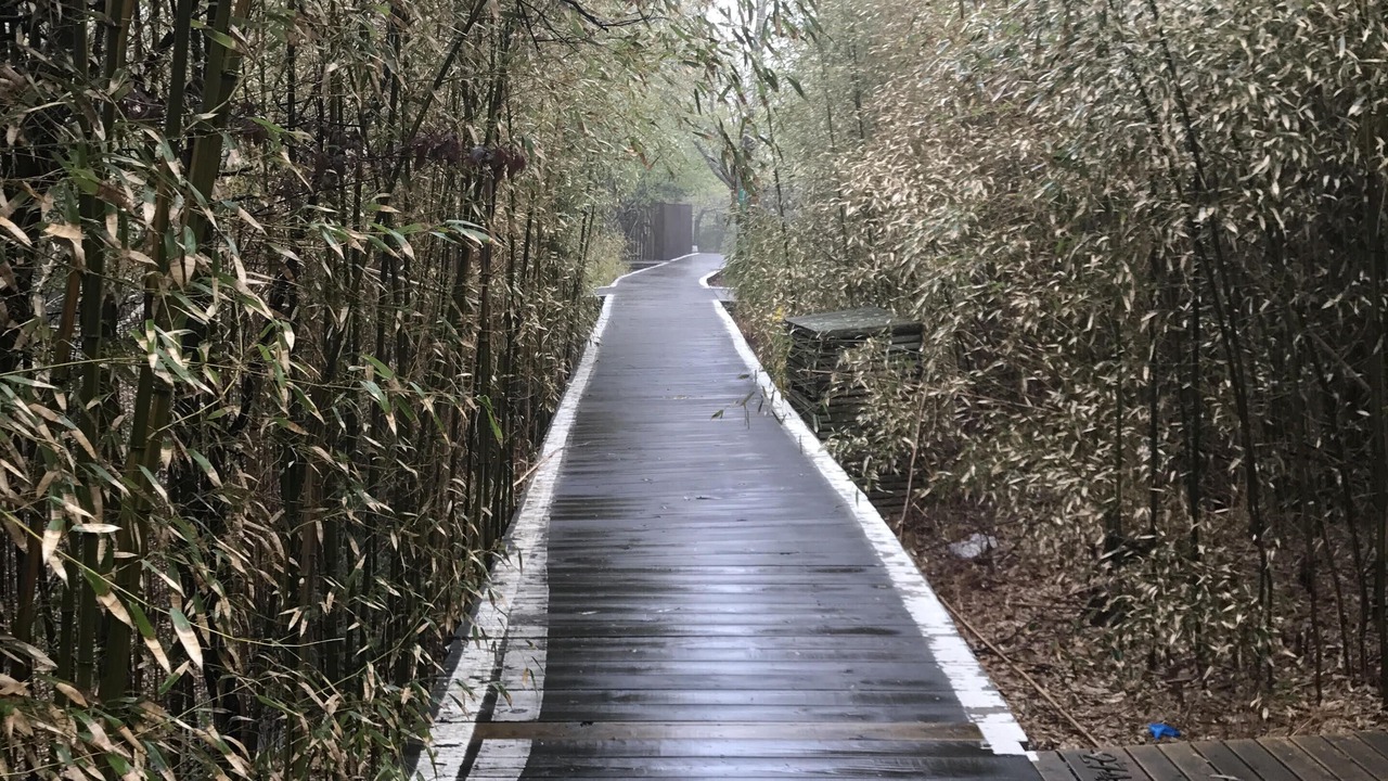 Photo of Outdoor in Fire Island Pines
