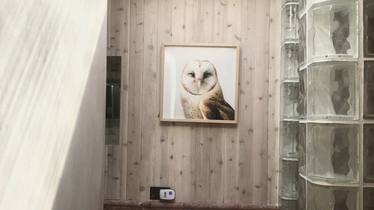 Photo of Others in Fire Island Pines