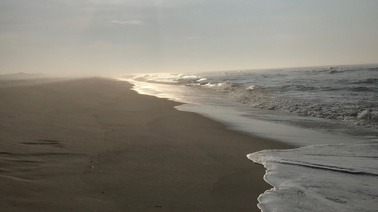 Photo of Others in Fire Island Pines