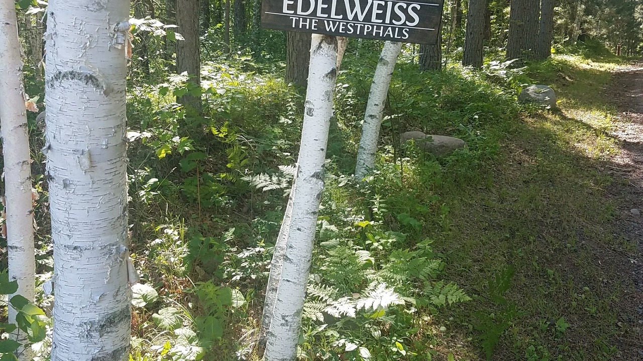 Photo of Outdoor in Markville