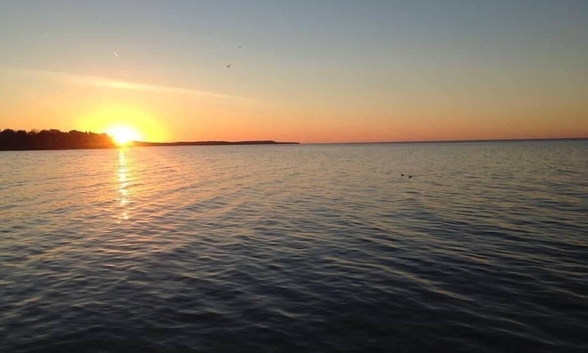 Photo of Others in Sodus Point