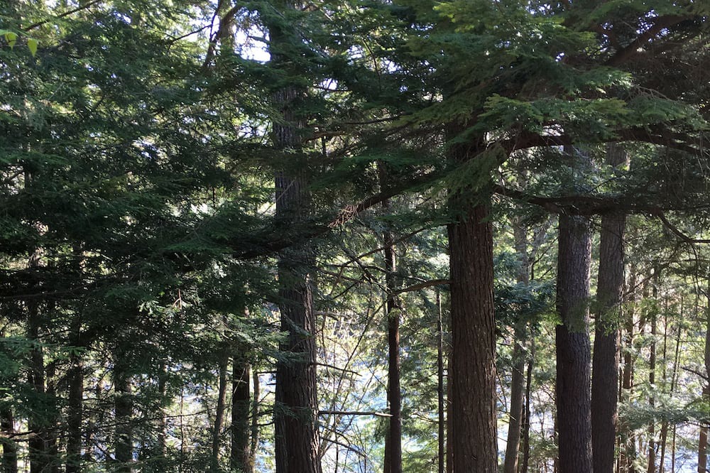 Photo of Outdoor in Lucerne-in-Maine