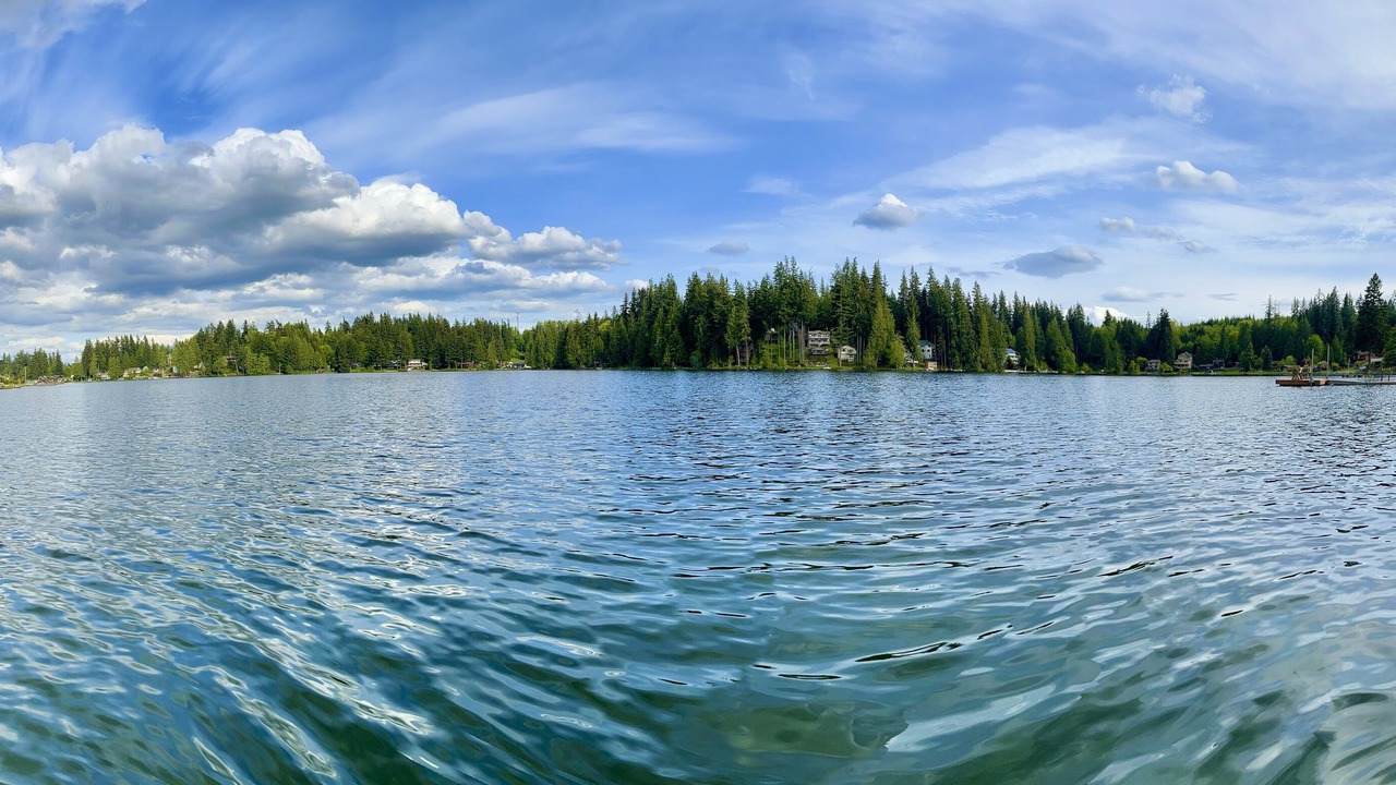 Photo of Outdoor in Lake Goodwin