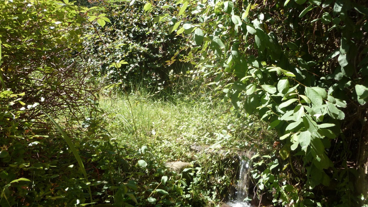 Photo of Outdoor in Uglas