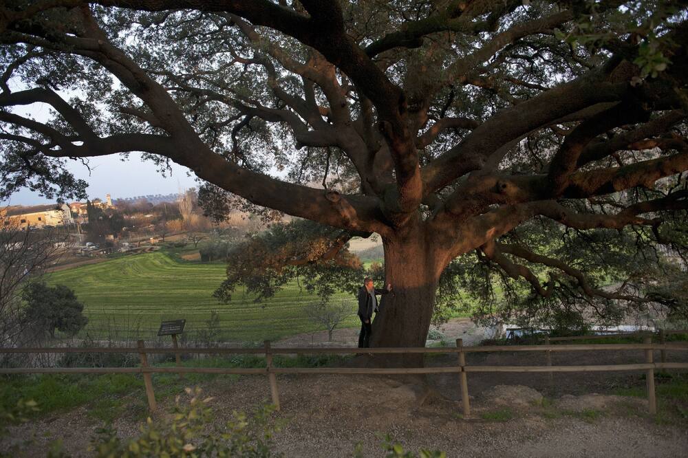 Photo of Outdoor in Vilafant