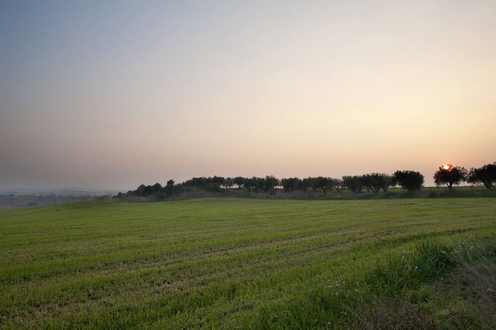 Photo of Outdoor in Vilafant