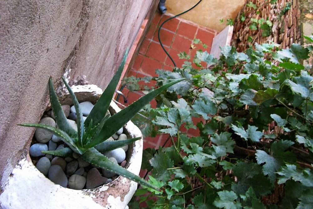 Photo of Outdoor in Vilafant
