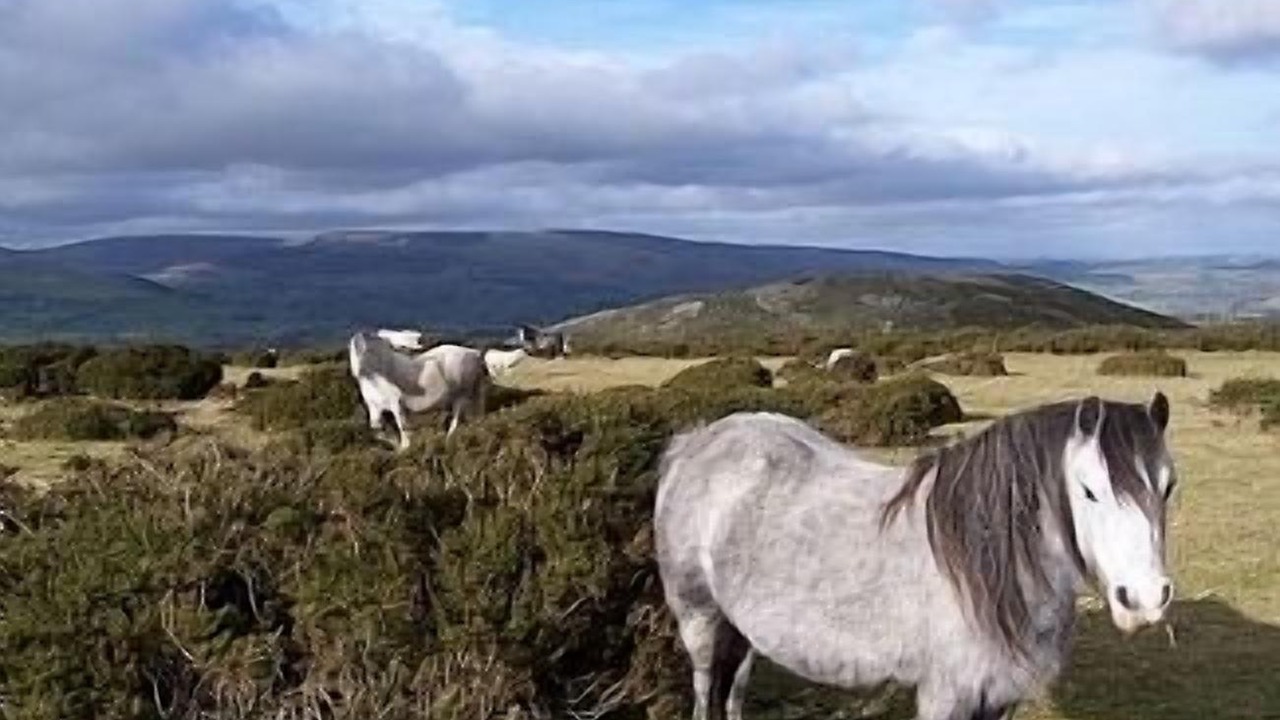 Photo of Outdoor in Huntington