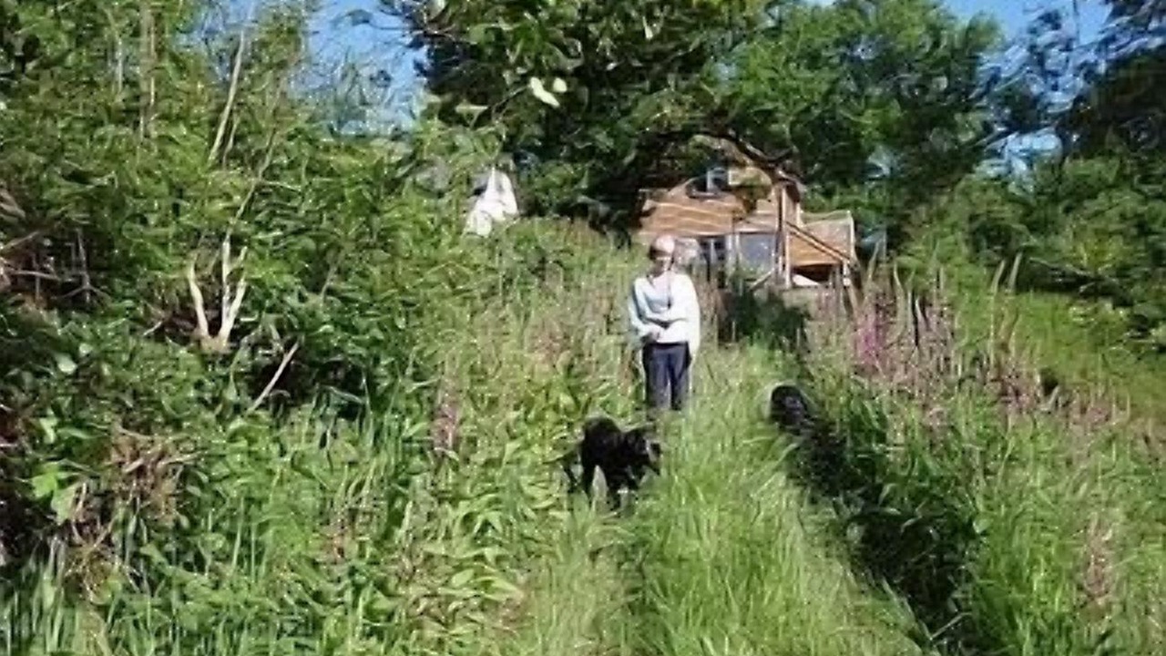 Photo of Outdoor in Huntington