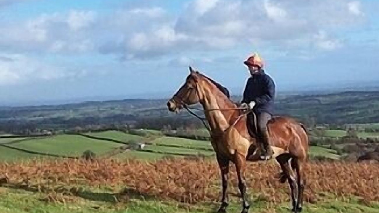 Photo of Others in Huntington