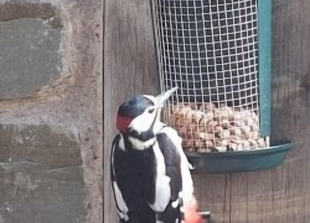 Photo of Others in Huntington