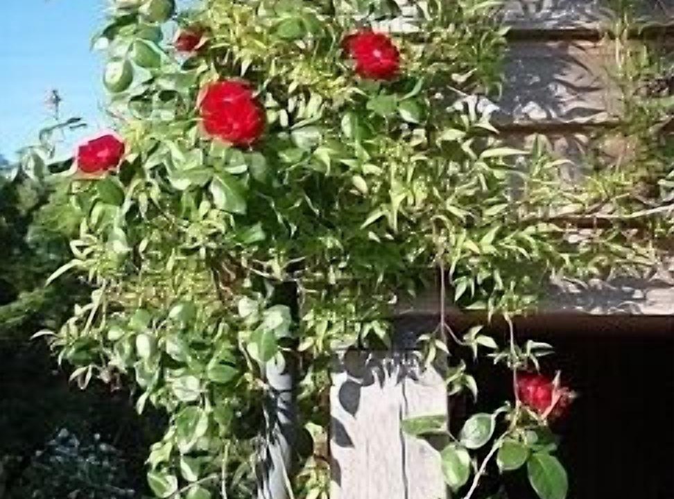 Photo of Outdoor in Huntington